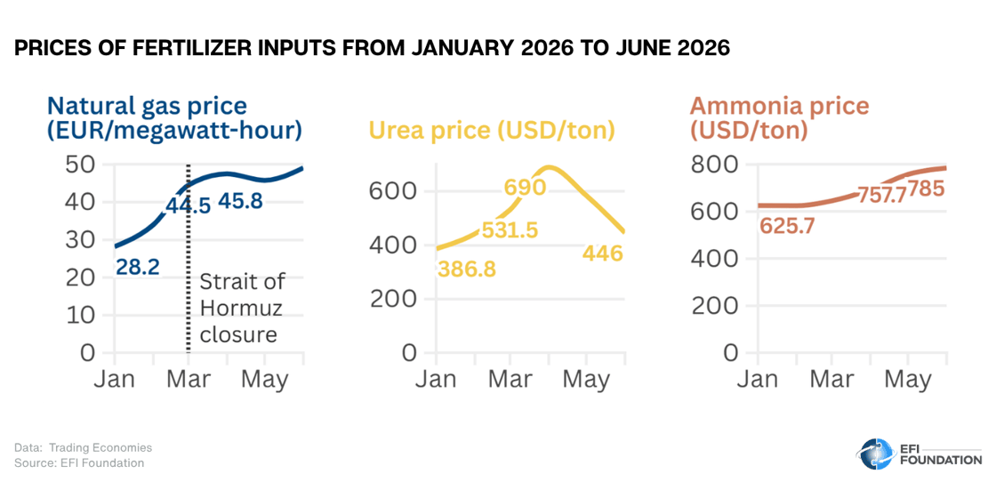 Hormuz Fertilizer-2
